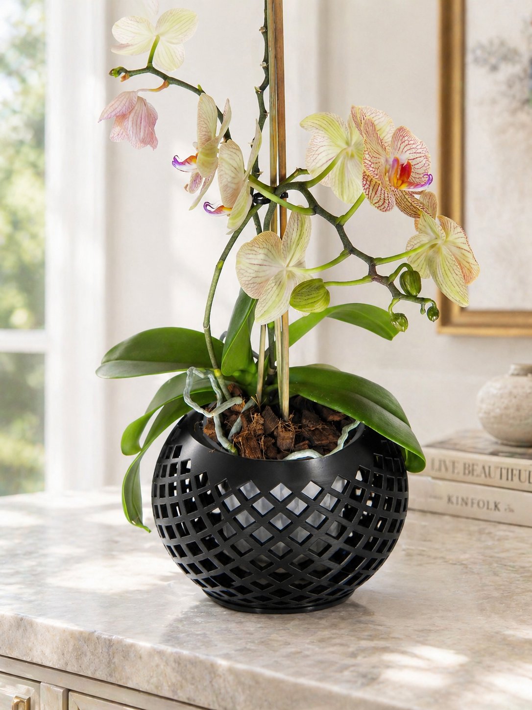 3D printed lattice planter, styled with orchid